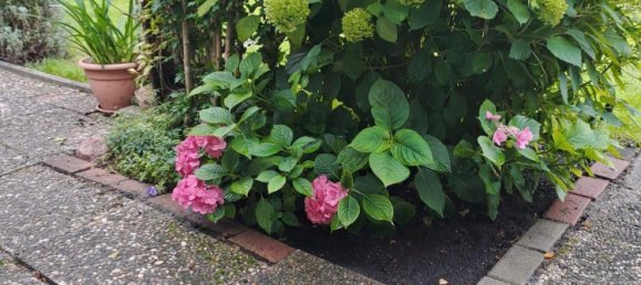 Terreno en Teltow-Flaming, Germany No. 346629 16