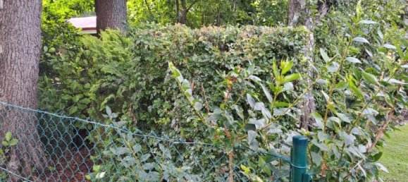 Terreno en Teltow-Flaming, Germany No. 346629 17