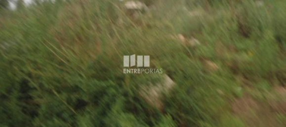  قطعة أرض في Marco de Canaveses, Portugal 7800متر مربع رقم 59615 3