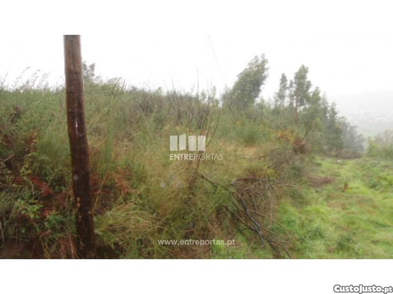  قطعة أرض في Marco de Canaveses, Portugal 7800متر مربع رقم 59615