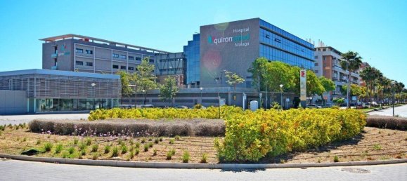 4 chambres Penthouse à Malaga, Spain No. 29161 41