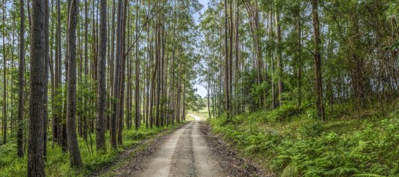 4 bedrooms House in Urunga, Australia No. 1005 3