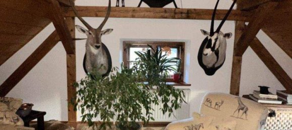 24غرفة فيلا في Mariazell, Austria رقم 250792 12