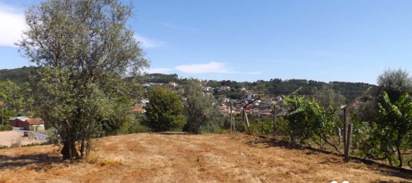  Land in Viseu, Portugal No. 66491 6