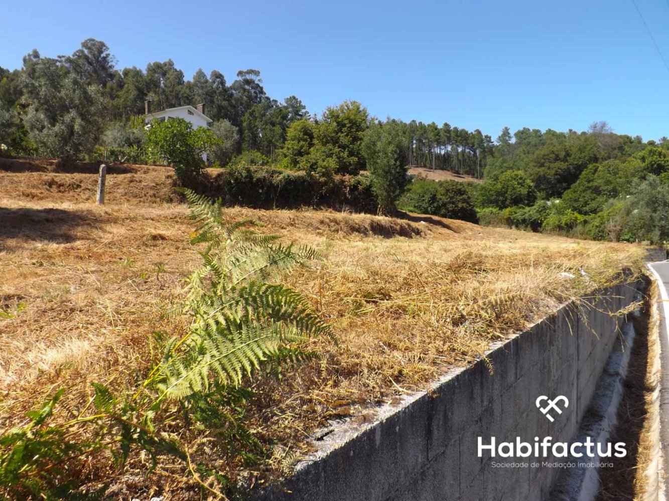  Land in Viseu, Portugal No. 66491