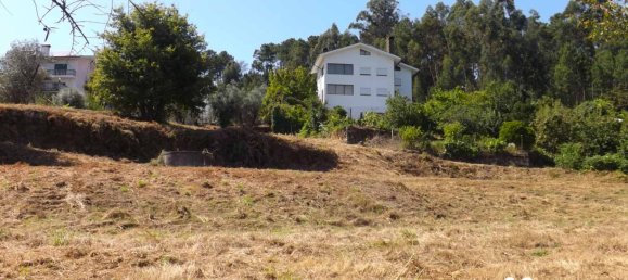  Land in Viseu, Portugal No. 66491 3