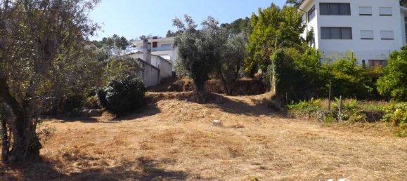  Land in Viseu, Portugal No. 66491 5