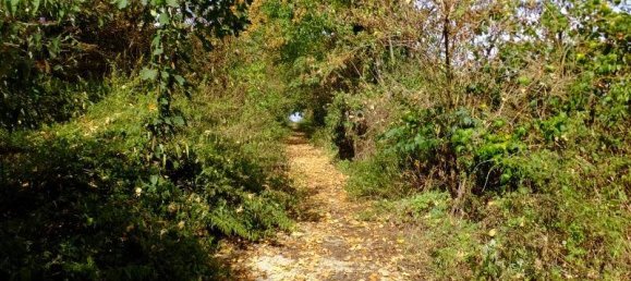 Duplex de 4 divisões em Viersen, Germany N.º 272487 11