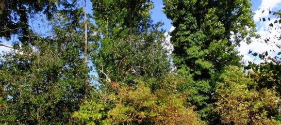 Duplex de 4 divisões em Viersen, Germany N.º 272487 12