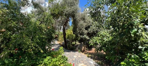 Wohnung 1+1 in Alanya, Turkey, Nr. 17692 13