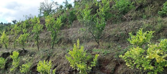 Casa de 4 dormitorios en Celorico de Basto, Portugal No. 188630 25