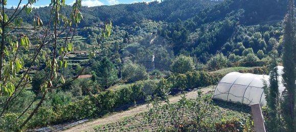 Casa de 4 dormitorios en Celorico de Basto, Portugal No. 188630 20