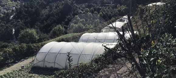 Casa de 4 dormitorios en Celorico de Basto, Portugal No. 188630 21