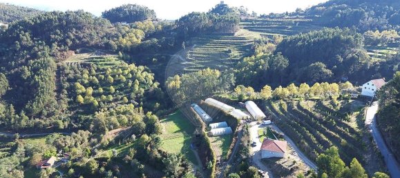 Casa de 4 dormitorios en Celorico de Basto, Portugal No. 188630 31
