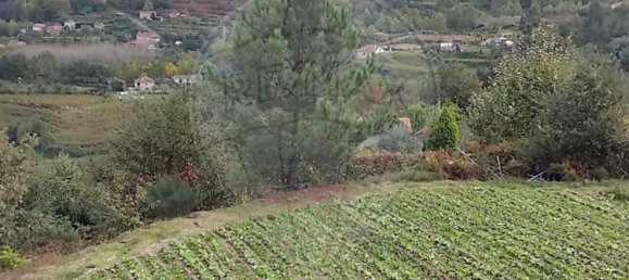 Casa de 4 dormitorios en Celorico de Basto, Portugal No. 188630 22