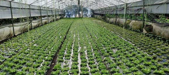 Casa de 4 dormitorios en Celorico de Basto, Portugal No. 188630 19