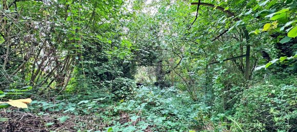 Adosado de 10 dormitorios en Trier, Germany No. 288227 34