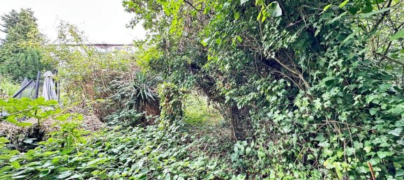 Adosado de 10 dormitorios en Trier, Germany No. 288227 31