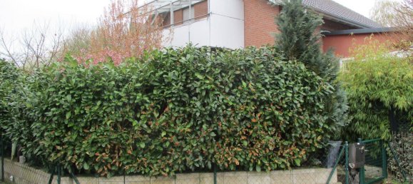 6-Zimmer Haus in Neustadt an der Waldnaab, Germany, Nr. 318107 5