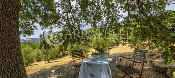 8 rooms Villa in Magliano in Toscana, Italy No. 302467 46