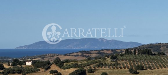 8 rooms Villa in Magliano in Toscana, Italy No. 302467 43