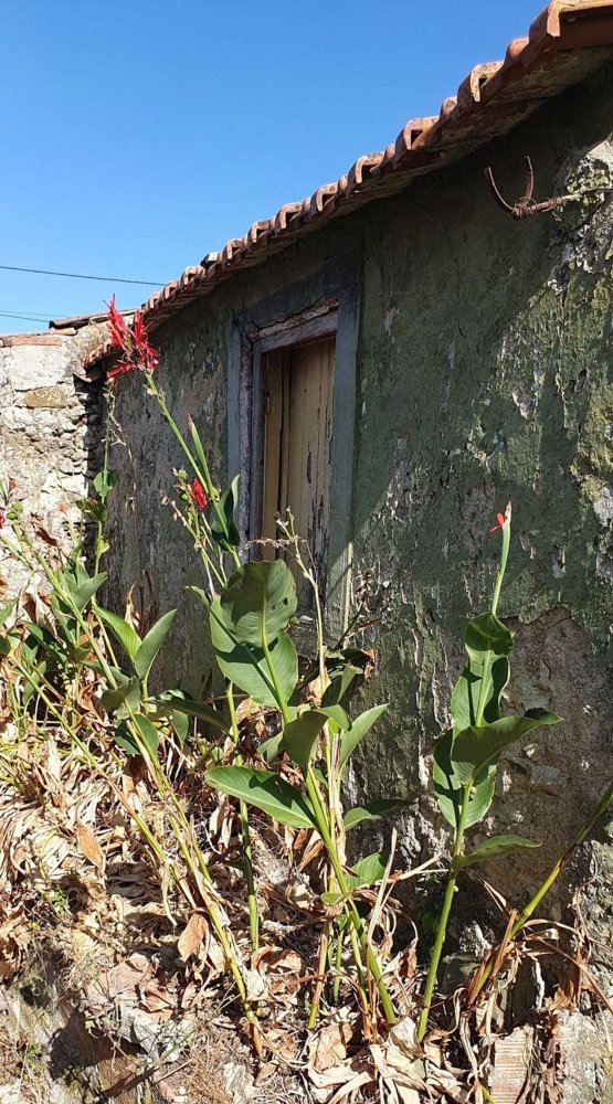 2 bedrooms House in Mafra, Portugal No. 218560