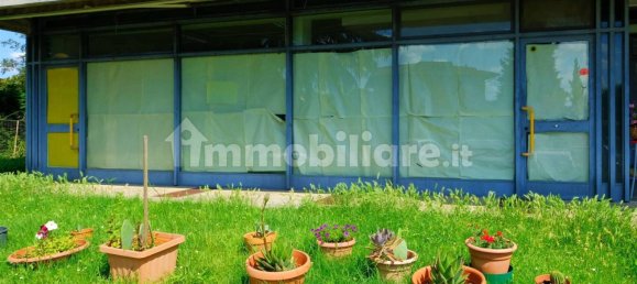 2 rooms Commercial property in Torrita di Siena, Italy No. 209670 2