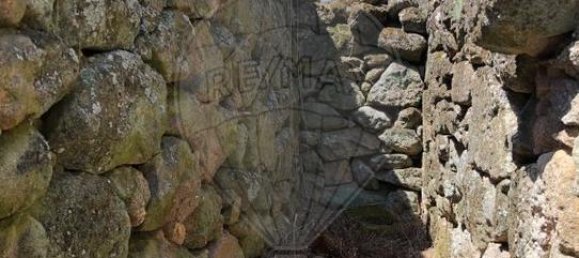 2 bedrooms House in Mesquitela, Portugal No. 20517 2