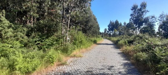  Land in Marco de Canaveses, Portugal No. 59397 13