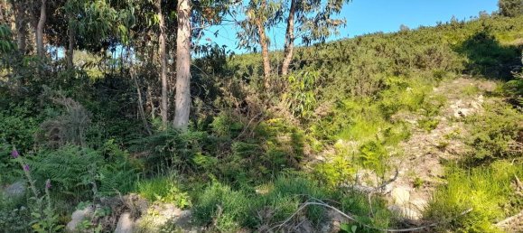  Land in Marco de Canaveses, Portugal No. 59397 19