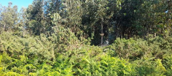  Land in Marco de Canaveses, Portugal No. 59397 16