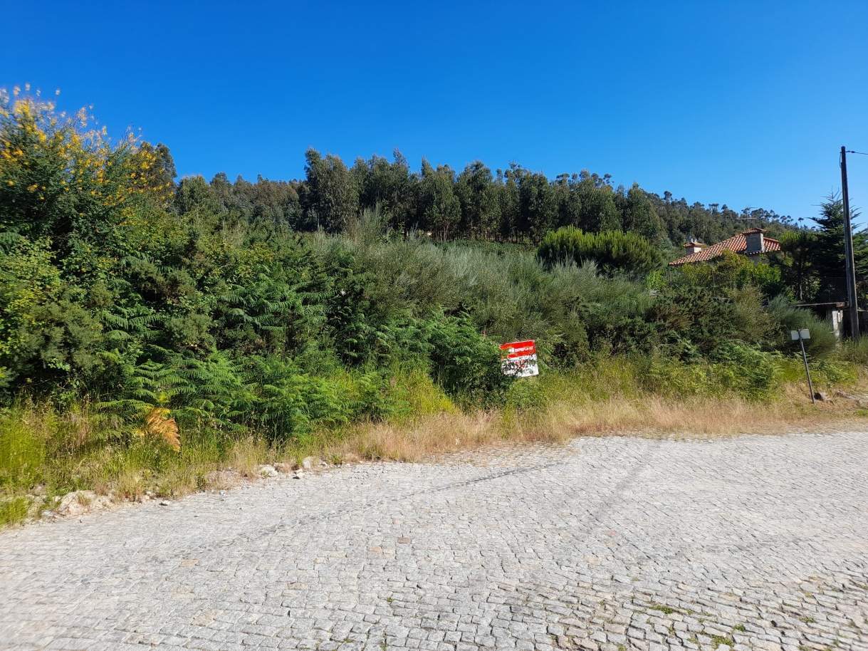  Land in Marco de Canaveses, Portugal No. 59397