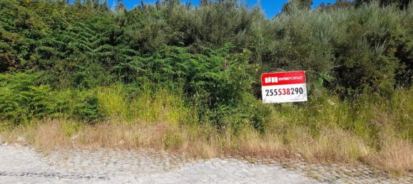  Land in Marco de Canaveses, Portugal No. 59397 3