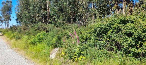  Land in Marco de Canaveses, Portugal No. 59397 12