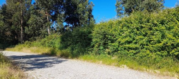  Land in Marco de Canaveses, Portugal No. 59397 5