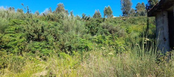  Land in Marco de Canaveses, Portugal No. 59397 11