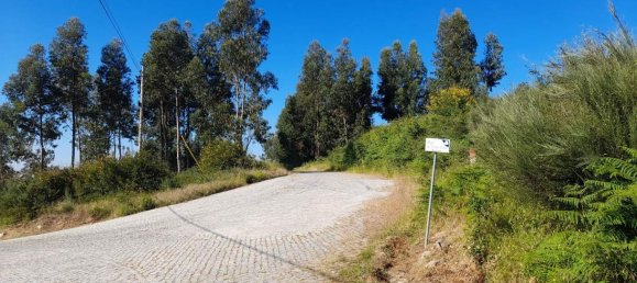  Land in Marco de Canaveses, Portugal No. 59397 9