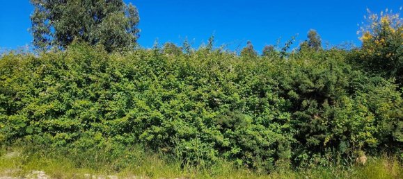  Land in Marco de Canaveses, Portugal No. 59397 4