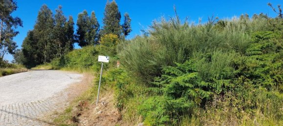  Land in Marco de Canaveses, Portugal No. 59397 10
