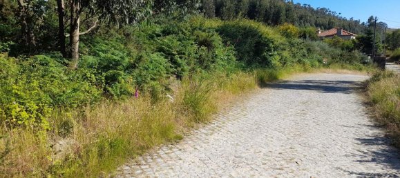  Land in Marco de Canaveses, Portugal No. 59397 18