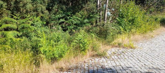 Land in Marco de Canaveses, Portugal No. 59397 14