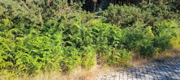  Land in Marco de Canaveses, Portugal No. 59397 15