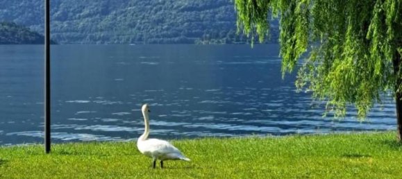 3-salle Appartement à Domaso, Italy No. 28754 18