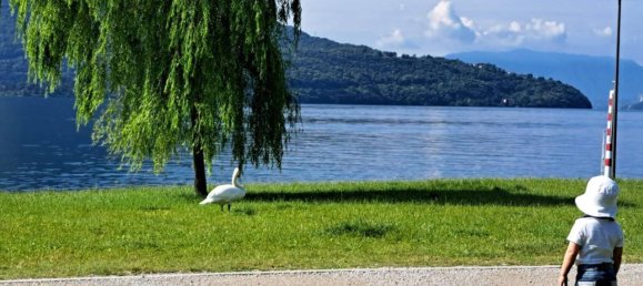 3-salle Appartement à Domaso, Italy No. 28754 17