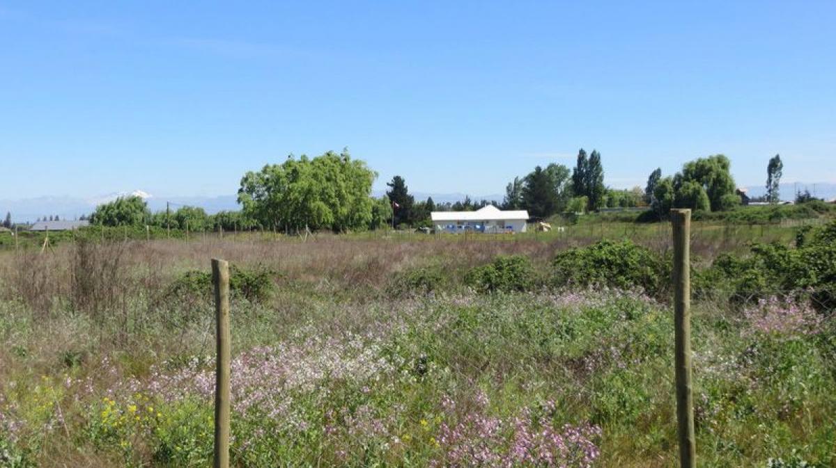 Terreno em Maule, Chile N.º 1005