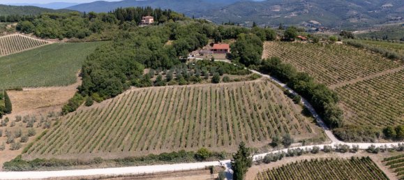 6 chambres Villa à Castellina in Chianti, Italy No. 371622 20