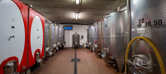 6 chambres Villa à Castellina in Chianti, Italy No. 371622 23