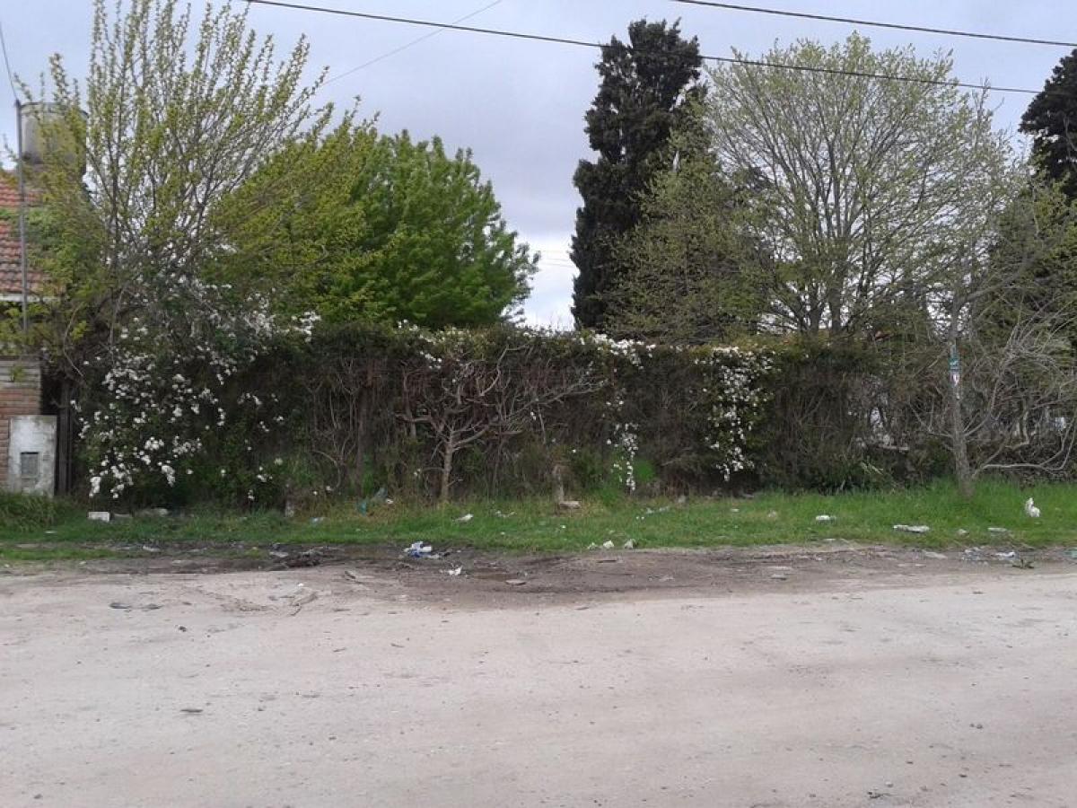 Grundstück in Mar del Plata, Argentina, Nr. 110470