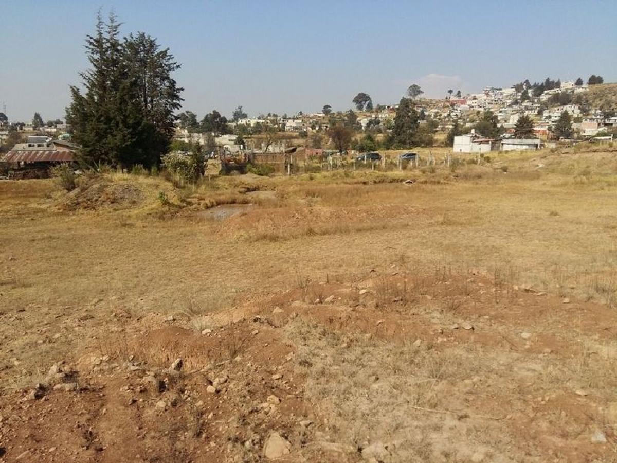 Земельный участок в Альмолоя де Хуарес, Мексика № 203063