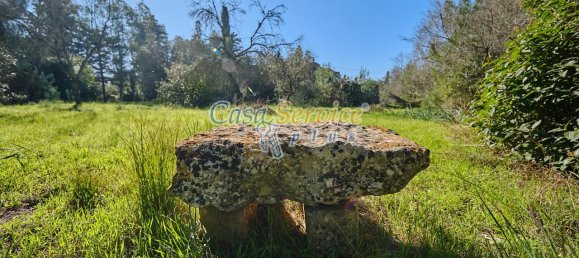 3-salle Maison à Sannicola, Italy No. 236228 4